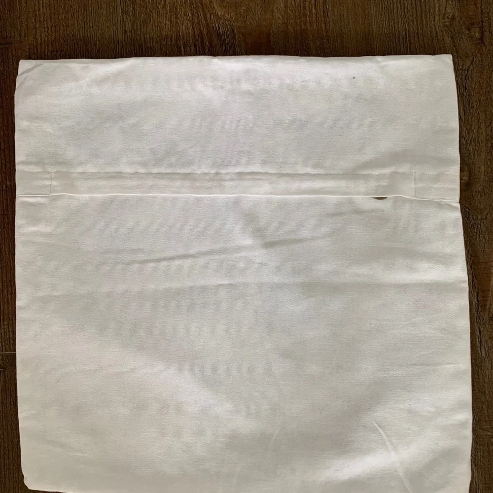 Pier one pillow Case